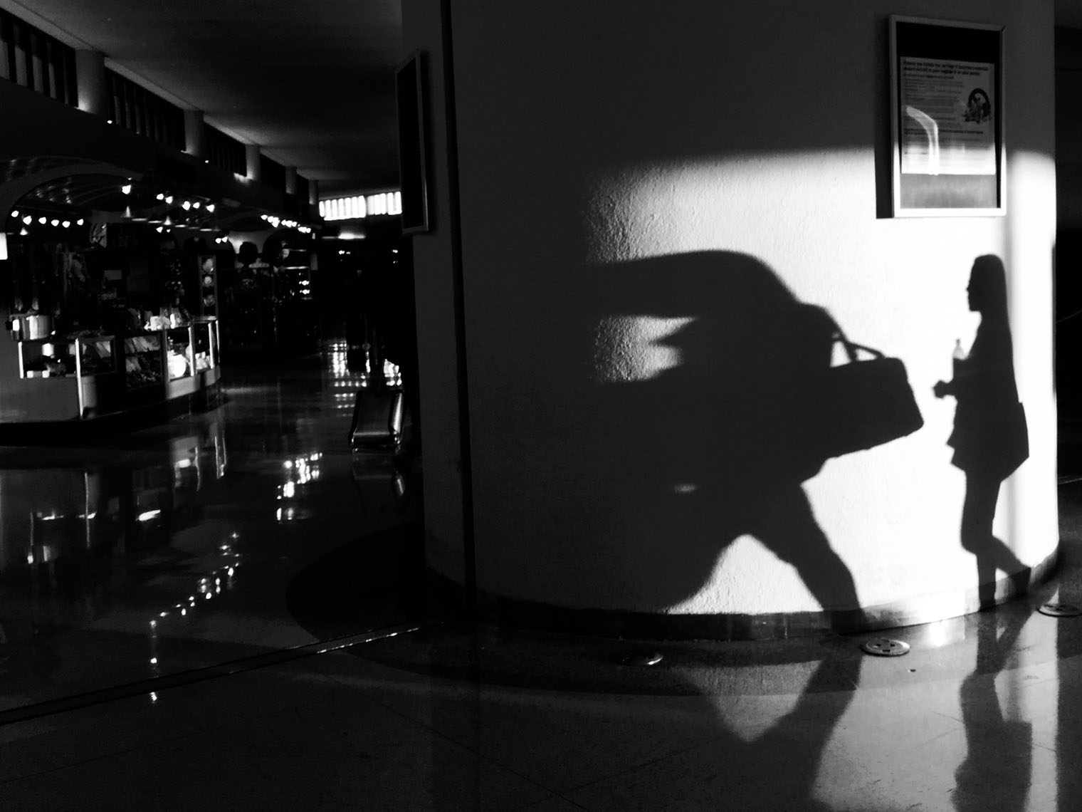 EWR_shadow
