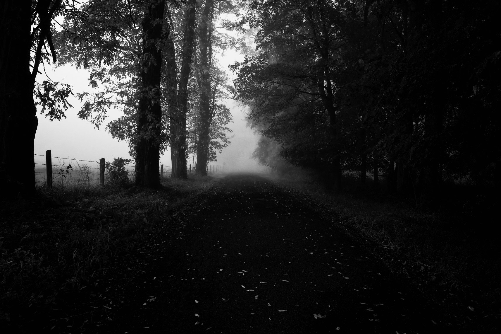 Foggy-Road-webres