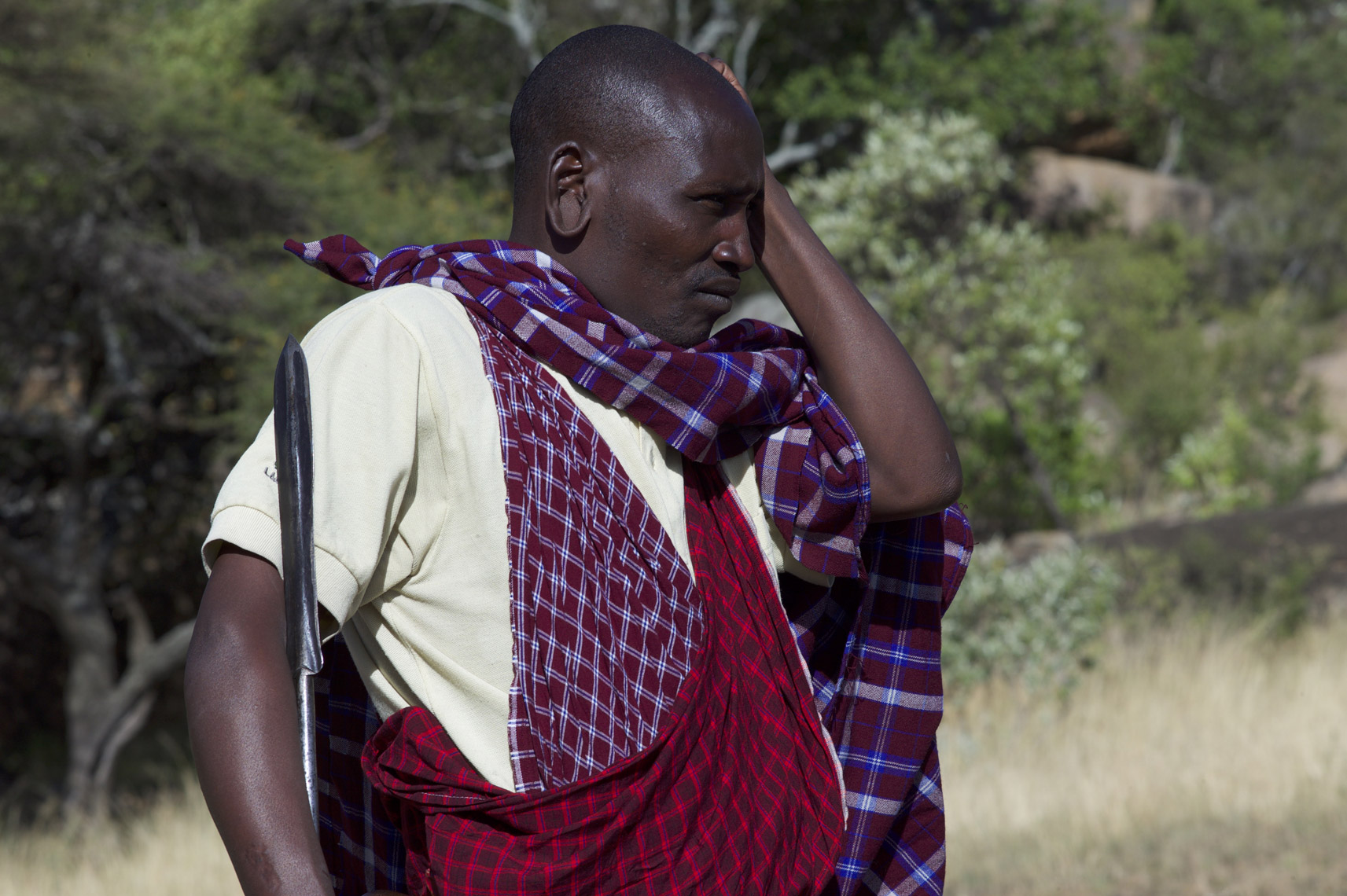Masai-webres