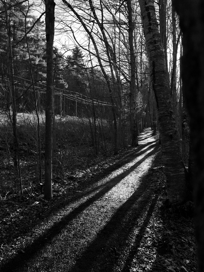Stockbridge_trail_shadows-webres
